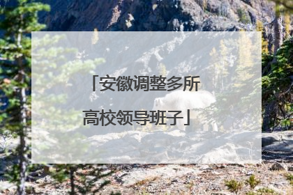 安徽调整多所高校领导班子