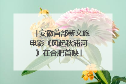 安徽首部新文旅电影《风起秋浦河》在合肥首映