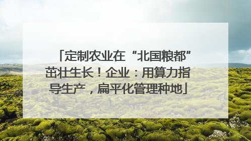 定制农业在“北国粮都”茁壮生长！企业：用算力指导生产，扁平化管理种地