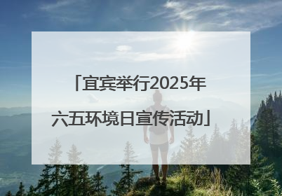 宜宾举行2025年六五环境日宣传活动