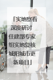 实地察看深度研讨 住建部专家组实地复核城阳城市更新项目