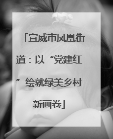 宣威市凤凰街道：以“党建红”绘就绿美乡村新画卷