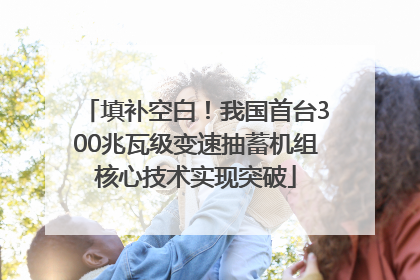 填补空白！我国首台300兆瓦级变速抽蓄机组核心技术实现突破