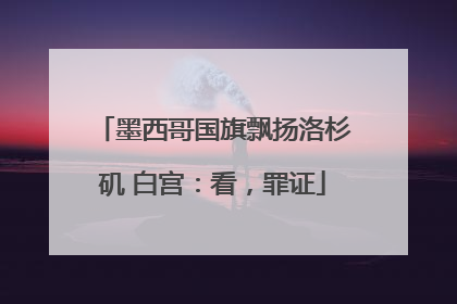 墨西哥国旗飘扬洛杉矶 白宫：看，罪证