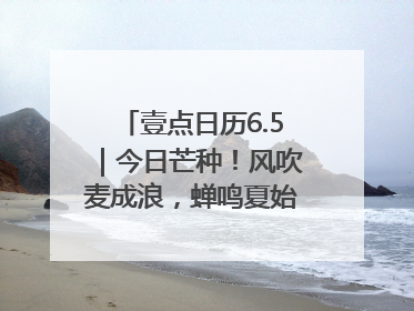 壹点日历6.5｜今日芒种！风吹麦成浪，蝉鸣夏始忙！大家早安