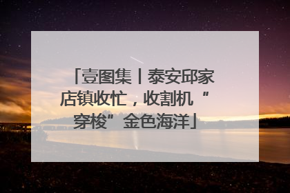 壹图集丨泰安邱家店镇收忙，收割机“穿梭”金色海洋