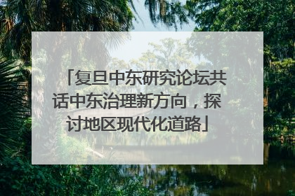 复旦中东研究论坛共话中东治理新方向，探讨地区现代化道路