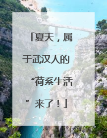 夏天，属于武汉人的“荷系生活”来了！