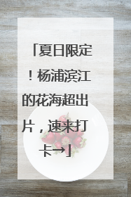 夏日限定！杨浦滨江的花海超出片，速来打卡→