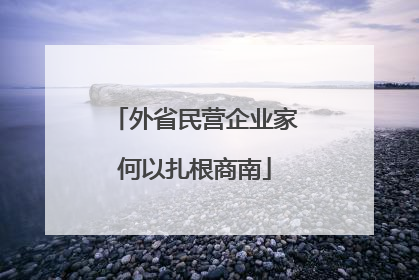 外省民营企业家何以扎根商南