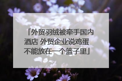 外贸羽绒被牵手国内酒店 外贸企业说鸡蛋不能放在一个篮子里