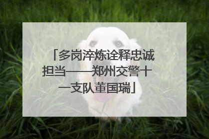 多岗淬炼诠释忠诚担当——郑州交警十一支队董国瑞