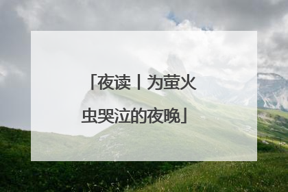 夜读丨为萤火虫哭泣的夜晚