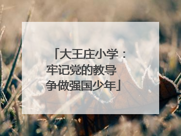 大王庄小学：牢记党的教导 争做强国少年