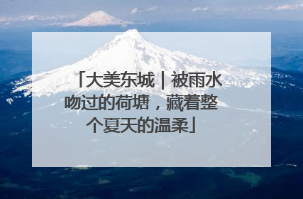 大美东城｜被雨水吻过的荷塘，藏着整个夏天的温柔