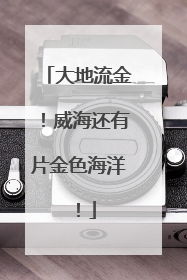 大地流金！威海还有片金色海洋！