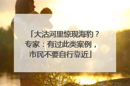 大沽河里惊现海豹？专家：有过此类案例，市民不要自行靠近
