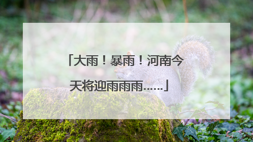 大雨！暴雨！河南今天将迎雨雨雨……
