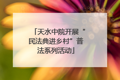 天水中院开展“民法典进乡村”普法系列活动