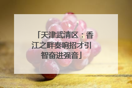 天津武清区：香江之畔奏响招才引智奋进强音