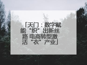 天门：数字赋能“织”出新丝路 电商转型激活“衣”产业