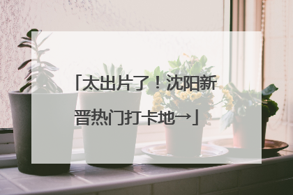 太出片了！沈阳新晋热门打卡地→