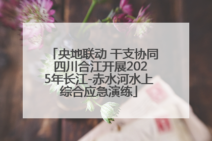 央地联动 干支协同 四川合江开展2025年长江-赤水河水上综合应急演练