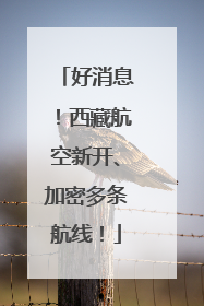 好消息！西藏航空新开、加密多条航线！