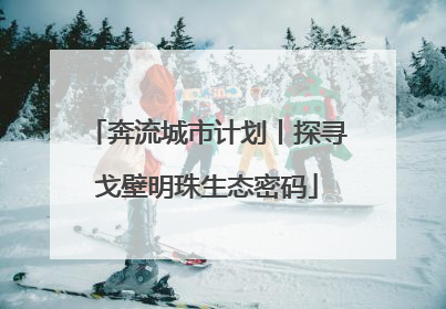 奔流城市计划丨探寻戈壁明珠生态密码