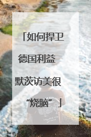 如何捍卫德国利益 默茨访美很“烧脑”
