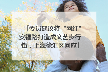 委员建议将“网红”安福路打造成文艺步行街，上海徐汇区回应