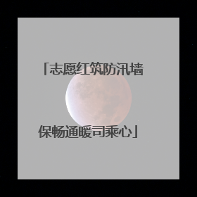 志愿红筑防汛墙 保畅通暖司乘心