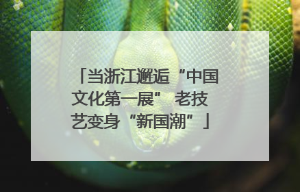 当浙江邂逅“中国文化第一展” 老技艺变身“新国潮”