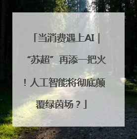 当消费遇上AI｜“苏超”再添一把火！人工智能将彻底颠覆绿茵场？