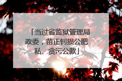 当过省监狱管理局政委，苗正钊损公肥私、贪污公款