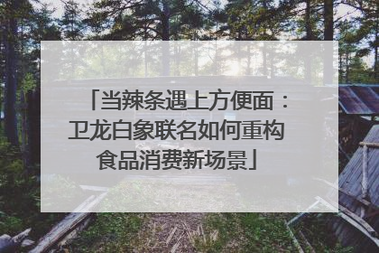 当辣条遇上方便面：卫龙白象联名如何重构食品消费新场景