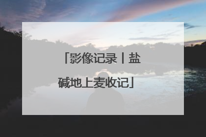 影像记录丨盐碱地上麦收记