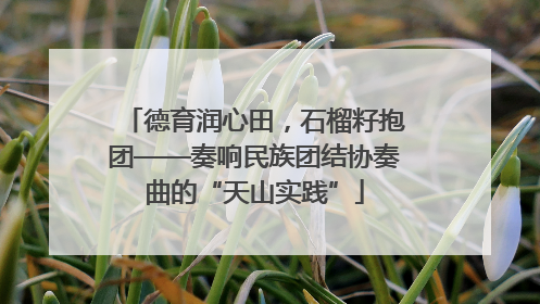 德育润心田，石榴籽抱团——奏响民族团结协奏曲的“天山实践”