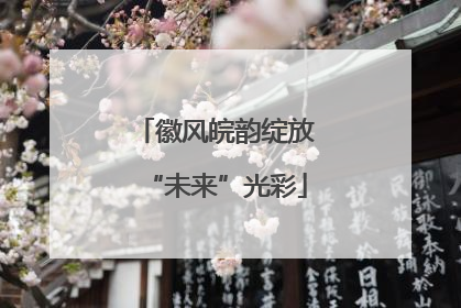徽风皖韵绽放“未来”光彩