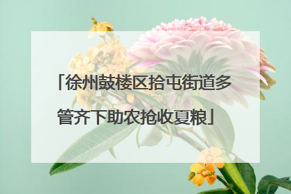 徐州鼓楼区拾屯街道多管齐下助农抢收夏粮