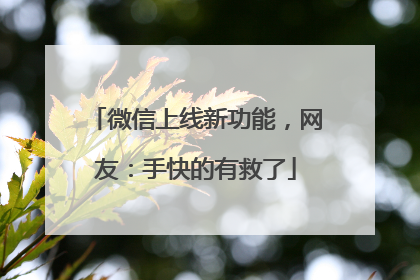微信上线新功能，网友：手快的有救了