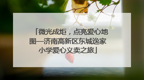 微光成炬，点亮爱心地图—济南高新区东城逸家小学爱心义卖之旅
