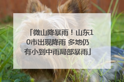 微山降暴雨！山东10市出现降雨 多地仍有小到中雨局部暴雨