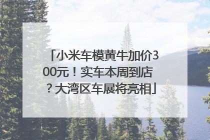 小米车模黄牛加价300元！实车本周到店？大湾区车展将亮相