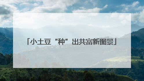 小土豆“种”出共富新图景