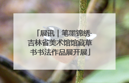 展讯｜笔墨锦绣·吉林省美术馆馆藏草书书法作品展开展