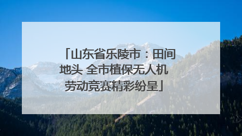 山东省乐陵市：田间地头 全市植保无人机劳动竞赛精彩纷呈
