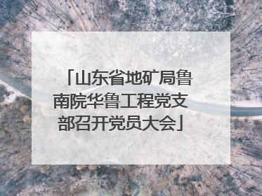 山东省地矿局鲁南院华鲁工程党支部召开党员大会