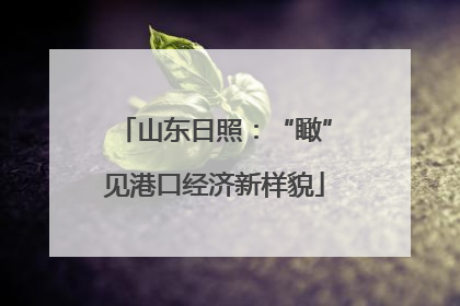 山东日照：“瞰”见港口经济新样貌