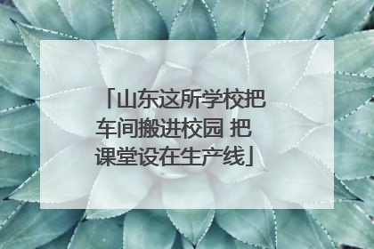 山东这所学校把车间搬进校园 把课堂设在生产线